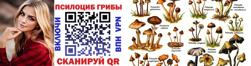 Галлюциногенные грибы мухоморы Тавда